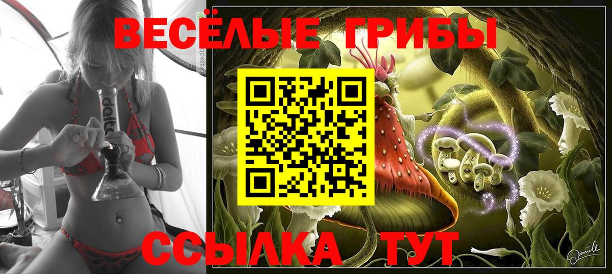 Псилоцибиновые грибы прущие грибы  Вход с VPN  Феодосия 