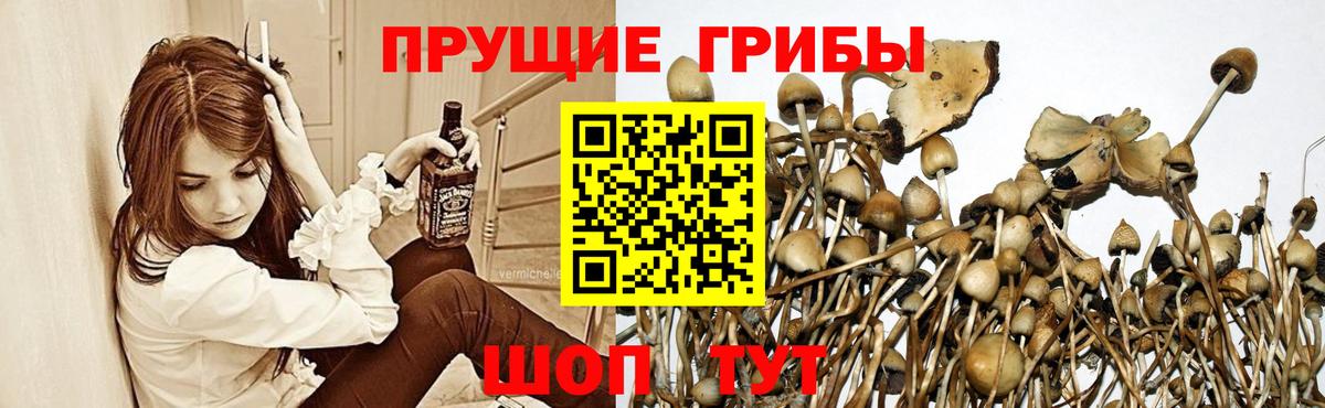 Галлюциногенные грибы Феодосия